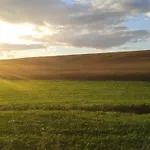 Du Saumon Buzancy (Ardennes)